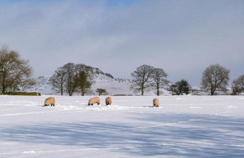 1 Hull House Cottage - Photo 28