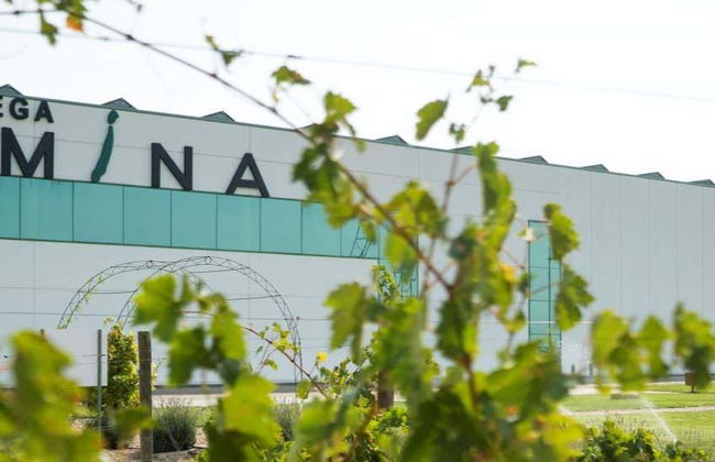 Dégustation de vins et fromages au Musée du vin Emina - Photo 7