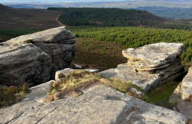 The Hideaway Bureau - Lowlands - Photo 27