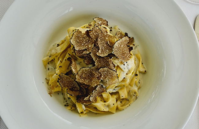 Aethos Saragano - Foto 75