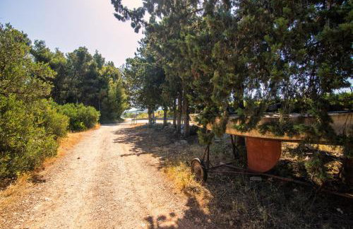 Apartments Jakov - Foto 19