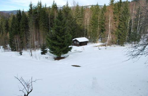 Ferienhaus "Lisa´s Häusl" - Foto 11