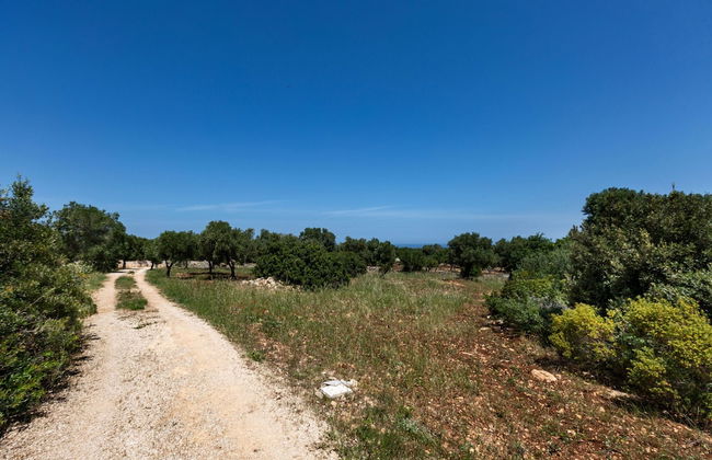 Villa Zena - Foto 36