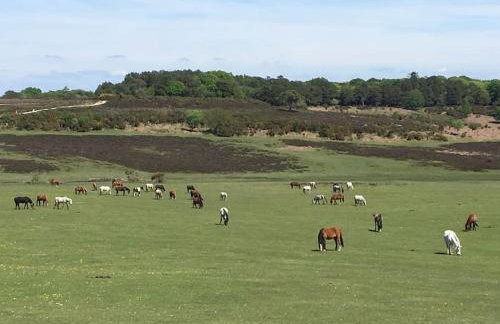 The Stables - 2 bed with large garden and hot tub. - Foto 52