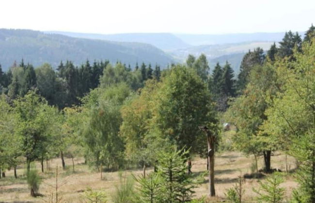 Pretty Holiday Home in Suhl Right Next to the Forest - Foto 39