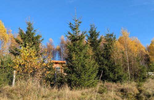 Hobbitówka - Foto 6