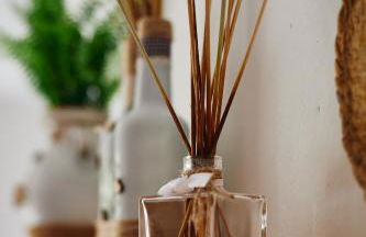 biodelfico, Policoro, Matera, Montalbano, mare - Photo 30