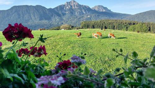 Fuchsbauernhof - Photo 5