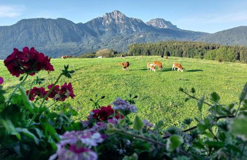 Fuchsbauernhof - Foto 5