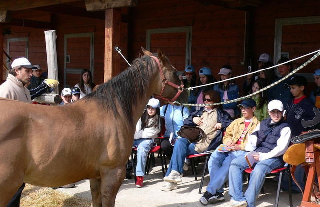 Masseria Straziuso - La Vaccariccia - Photo 16