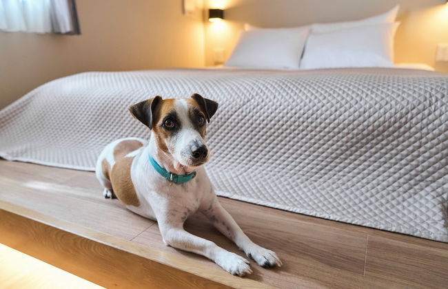 R.KAMAKURA - Foto 80