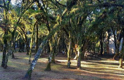 Espetacular Flat no Mountain Village - Foto 51