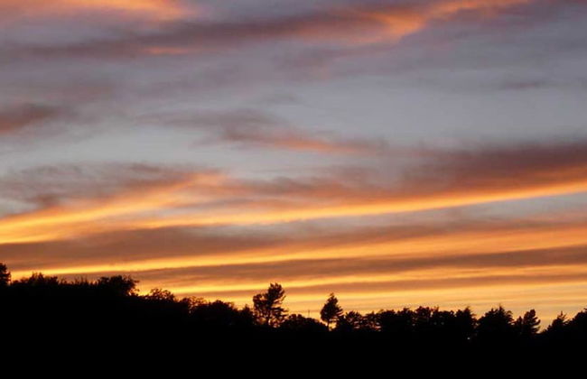 Colleverde Country House Beauty&Wellness - Foto 70