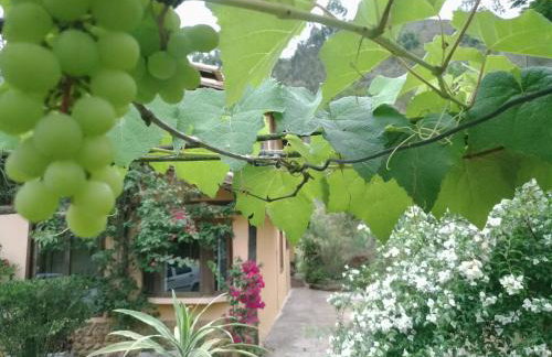 Quinta da Pedra do Elefante - Foto 53