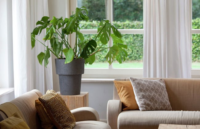 Stylish Holiday Home in Leende With Terrace - Foto 7