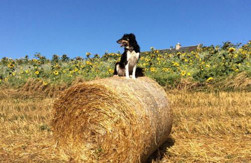 Garden Bank Cottage - Foto 21