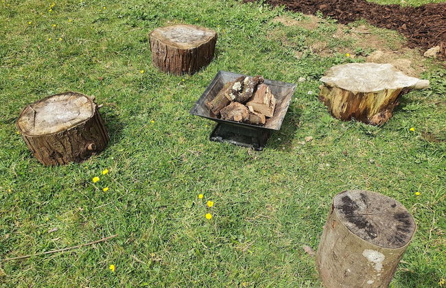 Double Decker Bus on an Alpaca Farm Sleeps 8 - Foto 54