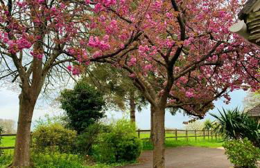 Stillmeadow - Foto 23