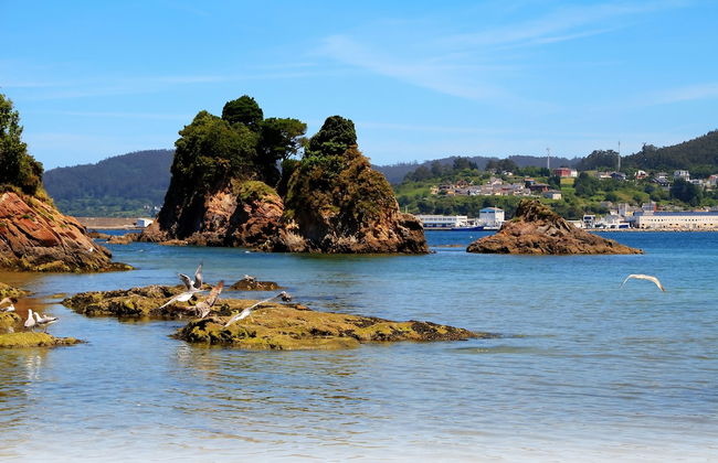 Apartamentos Duerming Sea View Viveiro - Foto 15