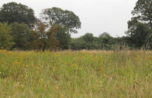 Haus Holli Zarrentin am Schaalsee - Foto 41