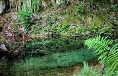 Hotel Fazenda Cachoeiras Serra da Bodoquena - Foto 8