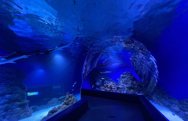 Reef Gateway Apartments - Photo 45