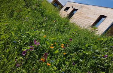 Ferienresort Edersee GmbH - Foto 28