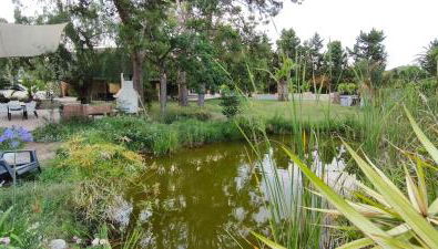 Villa Lago 2 - Photo 5