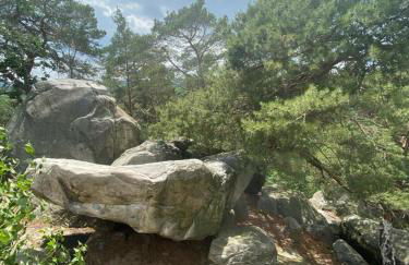 Langensteiner Idyll - Foto 40