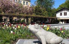 Gael Stary Rynek 1 - Foto 66