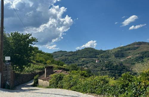 Quinta de São Pedro - Foto 62