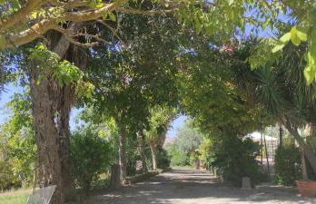 Donna Caterina House -Sicily-Hot tub, private parking, WI-FI - Foto 50