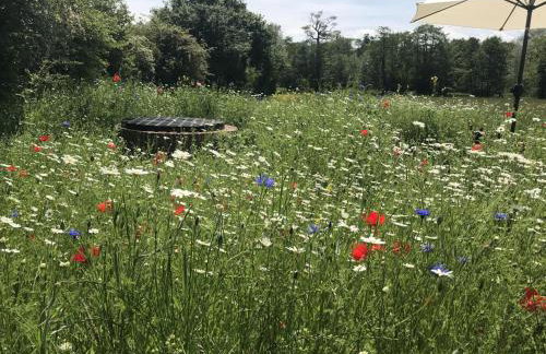 1 Bed in Woodbridge oc-stabu - Foto 10