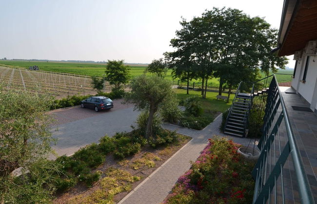 Pet-friendly Getaway With Pool - Foto 21