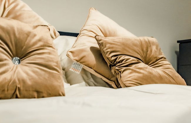 Bv Cosy Basement Apartment At Conditioning House - Photo 6