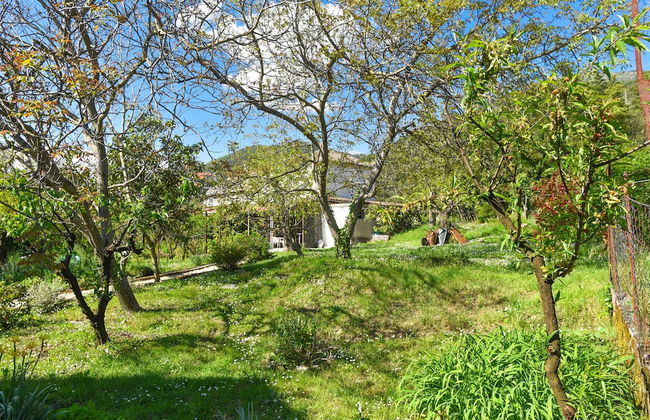 Apartments Branka - Foto 40