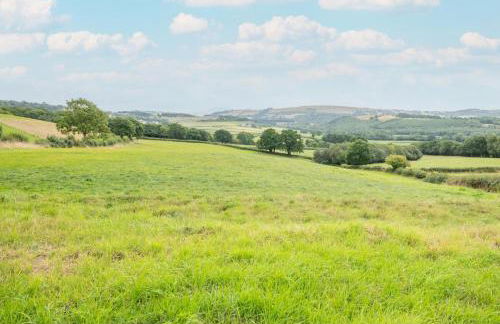 5 Bed in Llandovery oc-bow323 - Photo 26