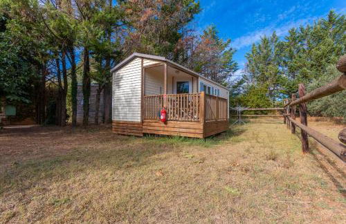 L’oliveraie Écuries Mas di Gau - Foto 4