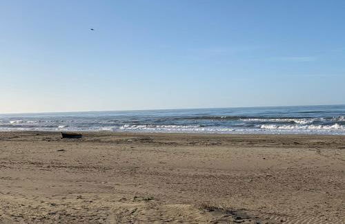 Demy house - Foto 12