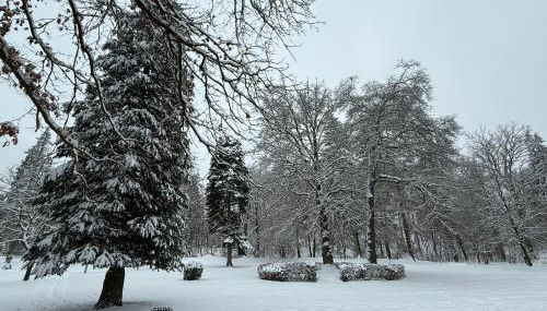Moderne Ferienwohnungen in alter Villa - Photo 4