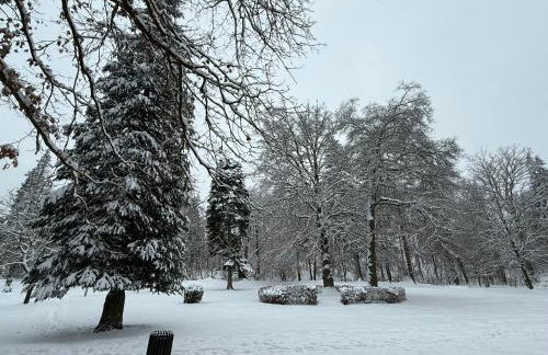 Moderne Ferienwohnungen in alter Villa - Photo 4