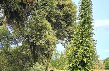 Le Manoir de KEROFIL - Foto 20