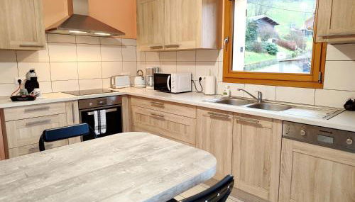 Les Randogodilleurs avec Jacuzzi à 2kms des pistes et 350m du Théatre du Peuple ! - Foto 4