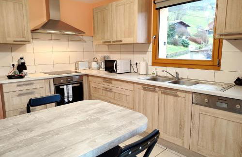 Les Randogodilleurs avec Jacuzzi à 2kms des pistes et 350m du Théatre du Peuple ! - Foto 4