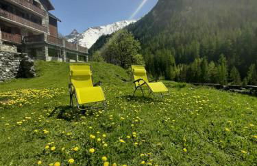 Hotel Chalet du Bon Air - Foto 43