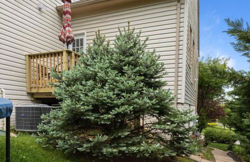 Apartment in Basement - Foto 11