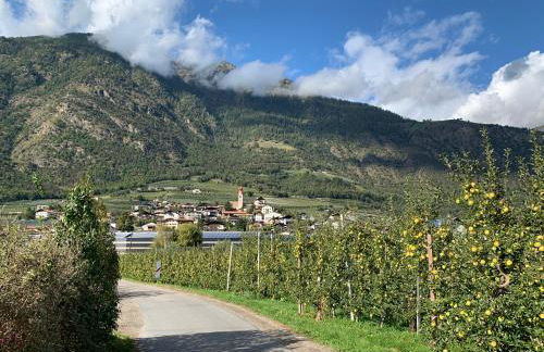 Klostergut - Foto 35