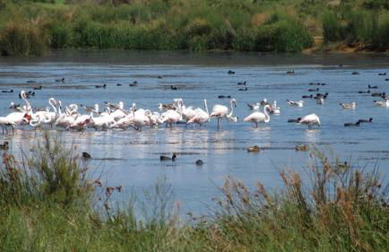 Casa Pura Vida - fantastic sea view - Foto 49