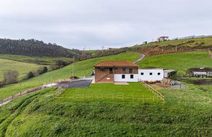 Finca Seles - Photo 6