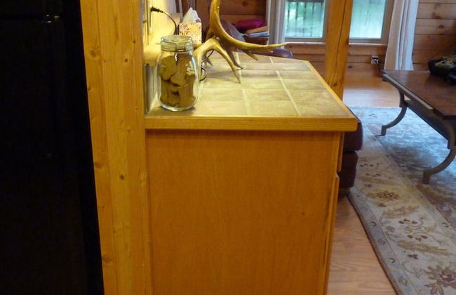 Horseshow Hideaway – Pet Friendly Cabin, 7 Minutes to TIEC - Foto 17